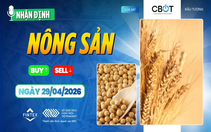 NHẬN ĐỊNH THỊ TRƯỜNG NÔNG SẢN NGÀY 29/04/2026